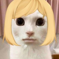 Choco Cosmica (@choco_cosmica) 's Twitter Profile