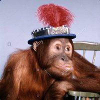 Affii 🍌 (@fartwhistle2) 's Twitter Profile