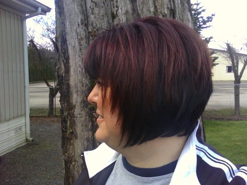 LDLaDonna's profile picture. 