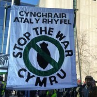 Dominic MacAskill (@dommacaskill) 's Twitter Profile