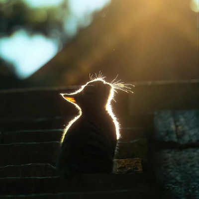 IvanLaguad30042's profile picture. 