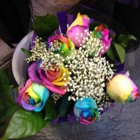 Idell Koch (@idellkoch61520) 's Twitter Profile