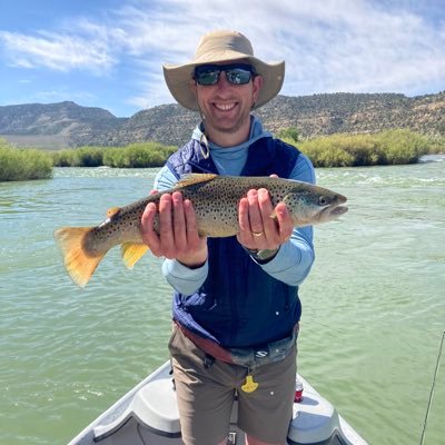 BigTomNat's profile picture. 