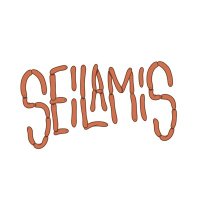 Seilamis(@SeilamisNFT) 's Twitter Profile Photo