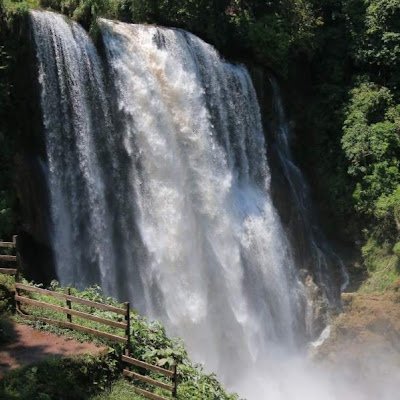 MarvinSabi57667's profile picture. 