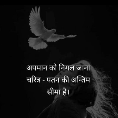 AjayKumar5586's profile picture. Rook Na Jaana Tu Kahi Haar Ke, Kaanto Pe Chal Ke Milenge Saaye Bahar Ke.