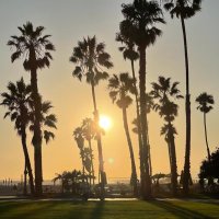 SlapMan21 (@braydencoger) 's Twitter Profile