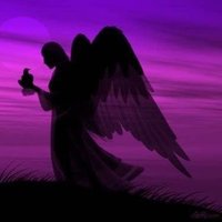 Stereax 📻 (@aviatrix084) 's Twitter Profile
