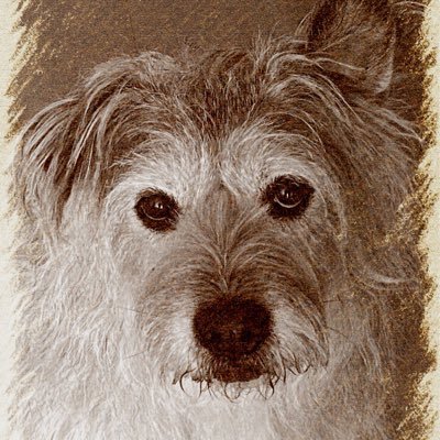 leclair_jg's profile picture. 