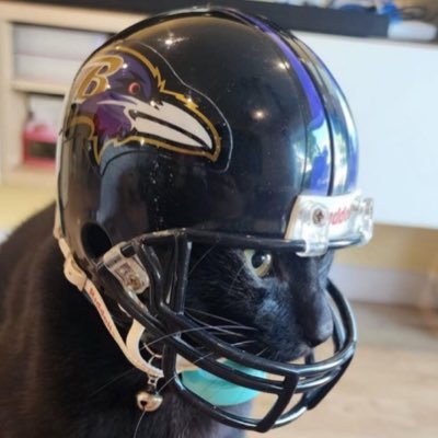 Ex-Maryland liver 🦀 Ravens O-Line Critique Expert 🏈 Mock Draft Connoisseur 📑 #RavensFlock 🐦‍⬛ 🐐’s #PhariumCS #stone_2x #JoystickBurnin •F4F• (except thugs)