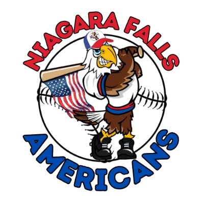 Niagara Falls Americans Profile