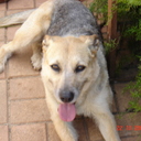 tegan henry - @tegan_22011 - Twitter