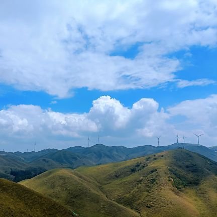 quera_xin's profile picture. #Founder of @Crypto3Capital  & @crypto3view
 . Focusing on #Web3 #infrastructure .