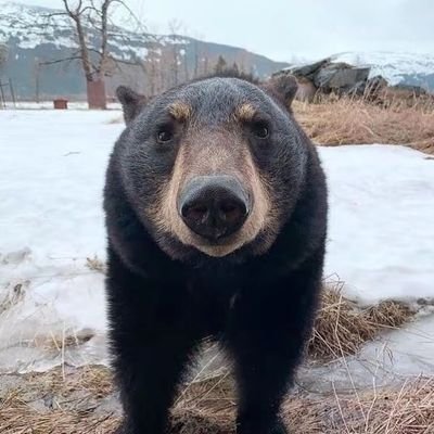 smithtennant04's profile picture. if I'm not sleeping I might be watching a film or playing an instrument, but that's your lot really