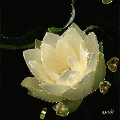 agbeko98994's profile picture. 