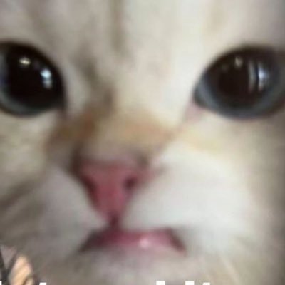 babbabhero
