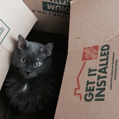 AJGoldenBoy946's profile picture. 