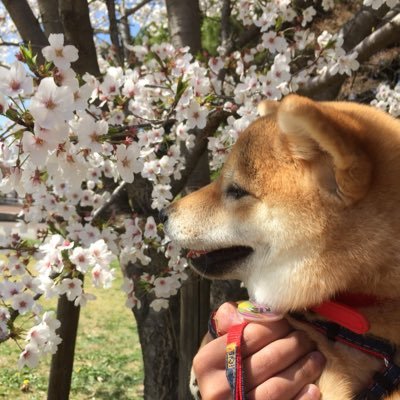 北里大学 新2SB早生まれの04世代 全バド理バド🏸 https://t.co/BTmVEGJ0l6 無言フォローごめんなさい
