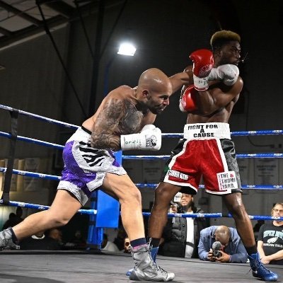 I like to sing and punch people. Pro Boxer (4-0). World Champion Kickboxer. Golden Gloves Champion Boxer.