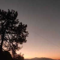 Tushar D. Singh (@_tush_11) 's Twitter Profile