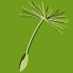 Seeds_MDPI (@seeds_mdpi) Twitter profile photo Seeds_MDPI (@seeds_mdpi) Twitter profile photo