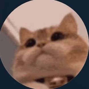 MorgzIsVeryBore's profile picture. 日本語を勉強するためにツイッターを使ってる