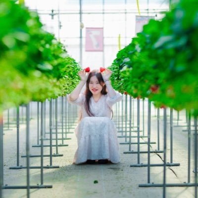 yu__laulea Profile Picture