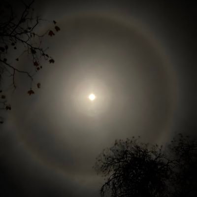 lalauncovered's profile picture. 