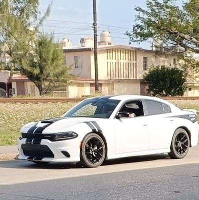 lIl_Robbie_IlI's profile picture. 