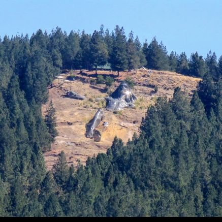 jandes2024's profile picture. 