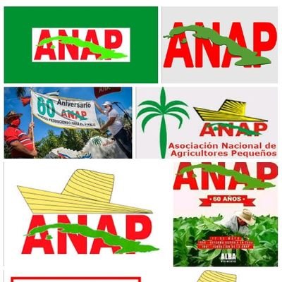 Funcionario ANAP provincial SS Profile
