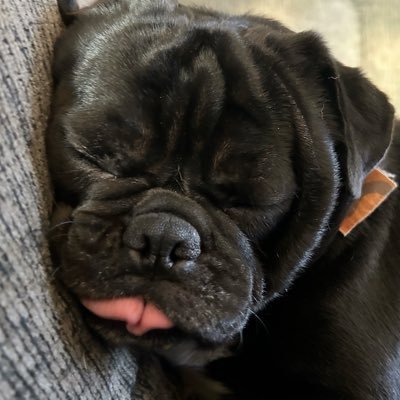 effie1025's profile picture. Wife. Mother. Designer.