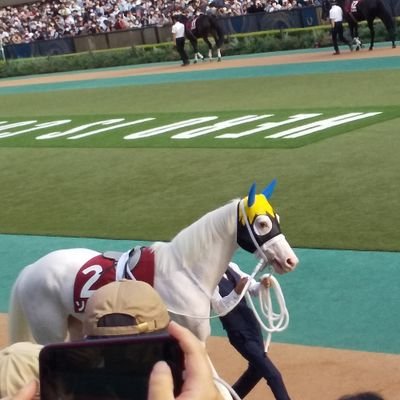 yuukaa0125's profile picture. ▶旅行(北海道・京都・滋賀)▷競馬
▶Reggae ＆ Hip Hop▶Badminton🏸▷Curling🥌