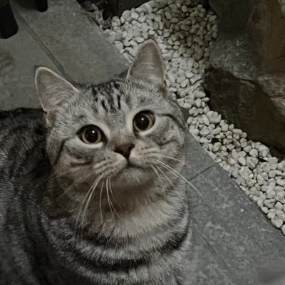 Giurala's profile picture. 