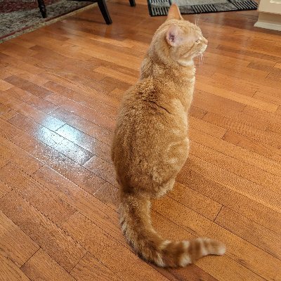 Unicorn1401851's profile picture. 