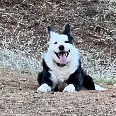 1patriotwaiting's profile picture. A Legal Citizen of The Greatest Republic Ever Founded on God’s Green earth! it’s the only place you can say Anything publicly and keep your wealth &Freedom