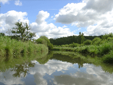MaraisEssonne's profile picture. association de protection de l'environnement des marais de l'Essonne
