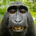 Just a guy (@justahanzomain1) Twitter profile photo Just a guy (@justahanzomain1) Twitter profile photo