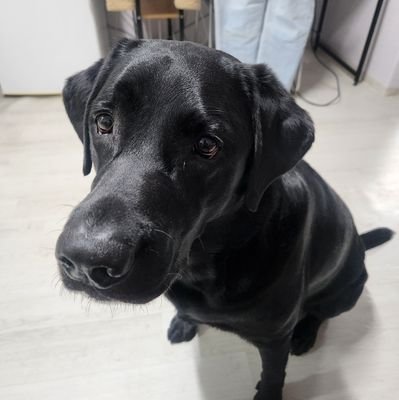 AMor122525's profile picture. 