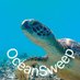 一般社団法人オーシャンスイープ協会 (@oceansweep1) Twitter profile photo 一般社団法人オーシャンスイープ協会 (@oceansweep1) Twitter profile photo