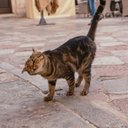 Ethan Farmer - @EthanFarme27473 - Twitter