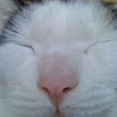 02so2uiU7F81928's profile picture. 