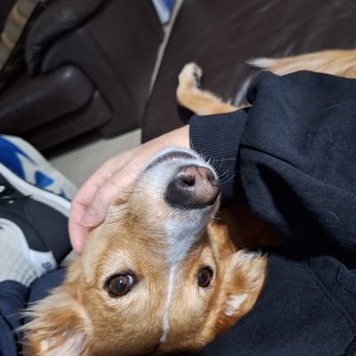 gen2023157616's profile picture. backup is @gen2024123532