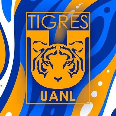 Por siempre y hasta el cajon.. con @TigresOficial y @TigresFemenil 🇺🇦🇺🇦⚽🐯🏆