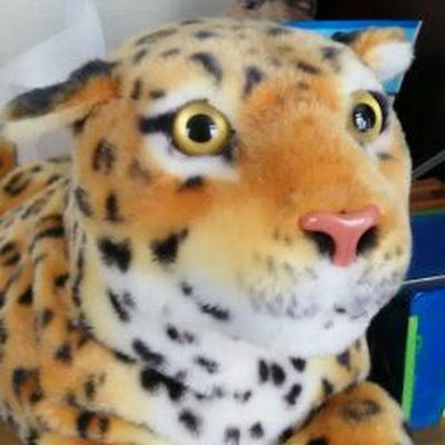 NqiE0wolOK78783's profile picture. 日々社会の荒波に揉まれまくっている社畜ニキ。
数年ぶりにX（旧ツイッター）のアカウント作りました。主に見る専、時々つぶやき。