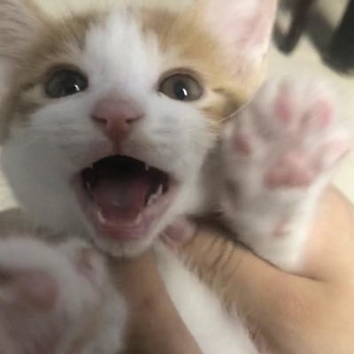 DengY821909's profile picture. 夸夸我吧⁄(⁄ ⁄ ⁄ω⁄ ⁄ ⁄)⁄