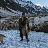Gujjar Ancestry (@gujjarancestry) 's Twitter Profile