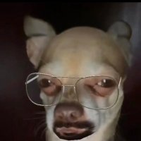 Mystical (@imystxcal) 's Twitter Profile