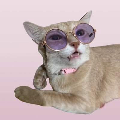 PURR 🦋さんのプロフィール画像