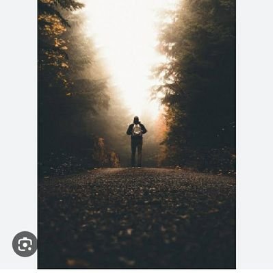 swaniawski41695's profile picture. The loftiest towers rise from the ground.